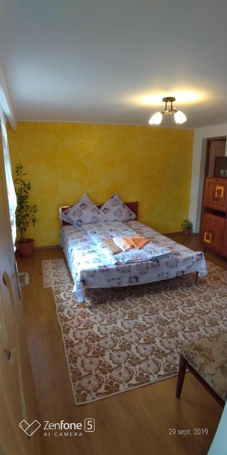 דירות Haţeg Casa Ana מראה חיצוני תמונה