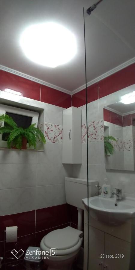 דירות Haţeg Casa Ana מראה חיצוני תמונה